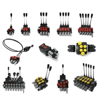 Hydraulic Directional Control Valves and Remote Controls